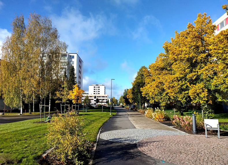 Kasvillisuus reunustaa kevyenliikenteenväylää, taustalla sininen taivas.