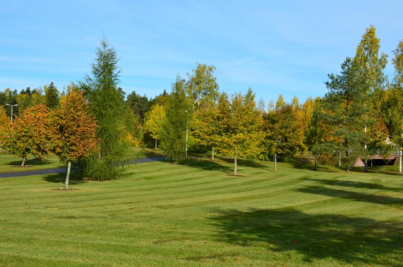 Kerrolanpuiston puustoa, etualalla nurmikkoa.