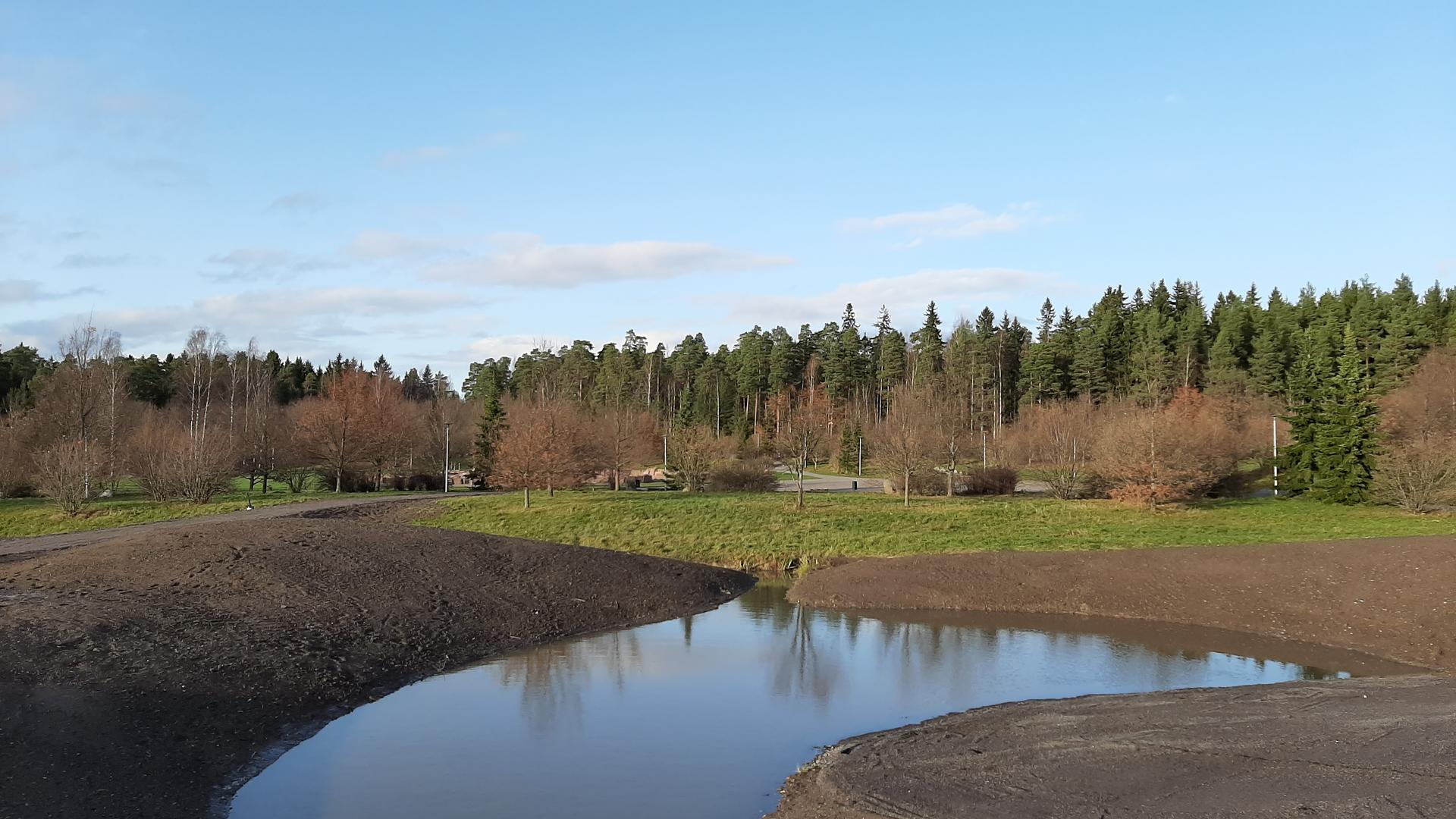Puistossa on hulevesiallas.