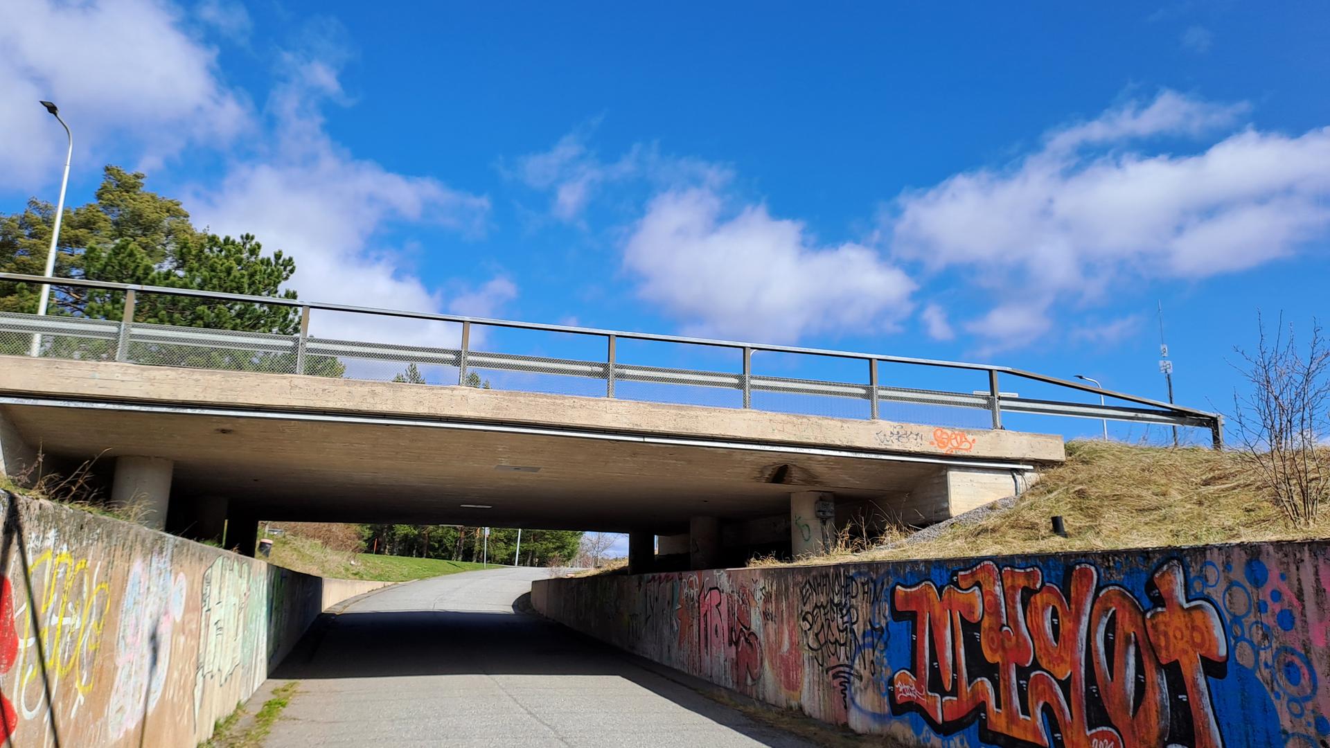 alikulku alhaistentiellä