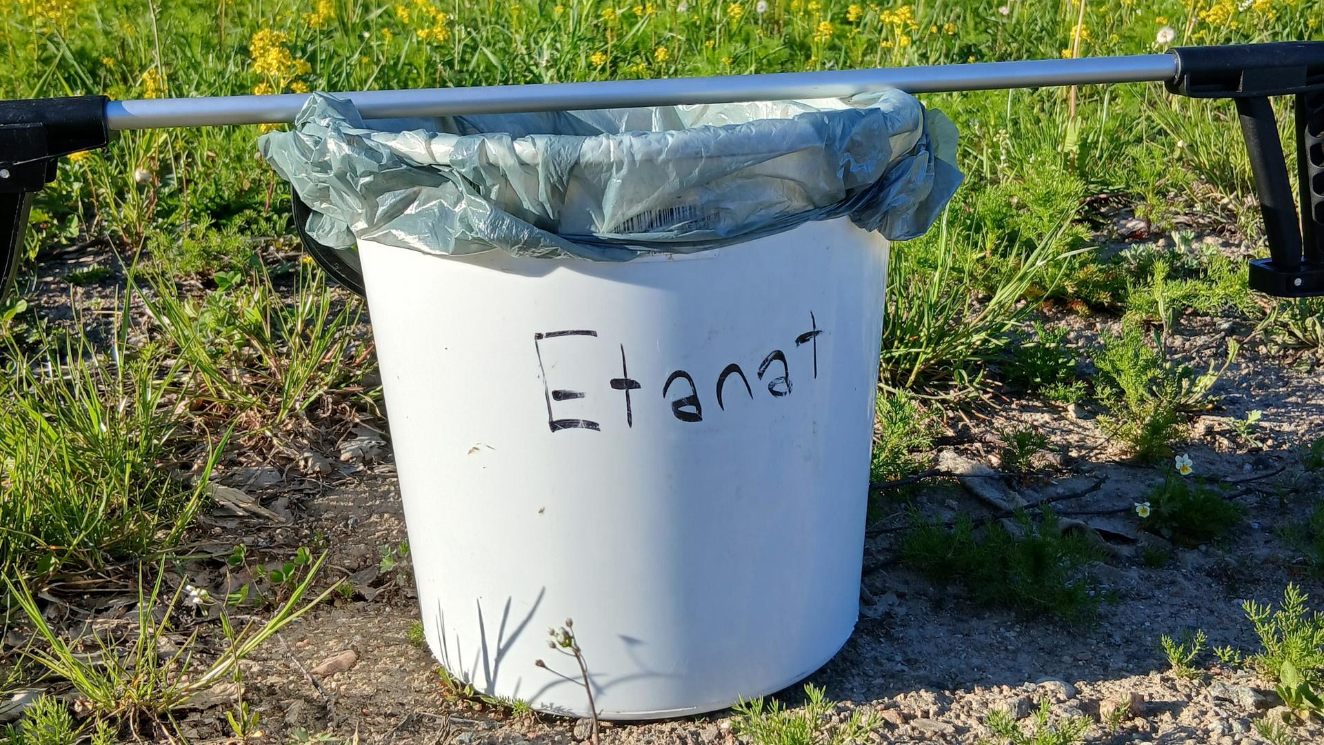 Etanaroskis