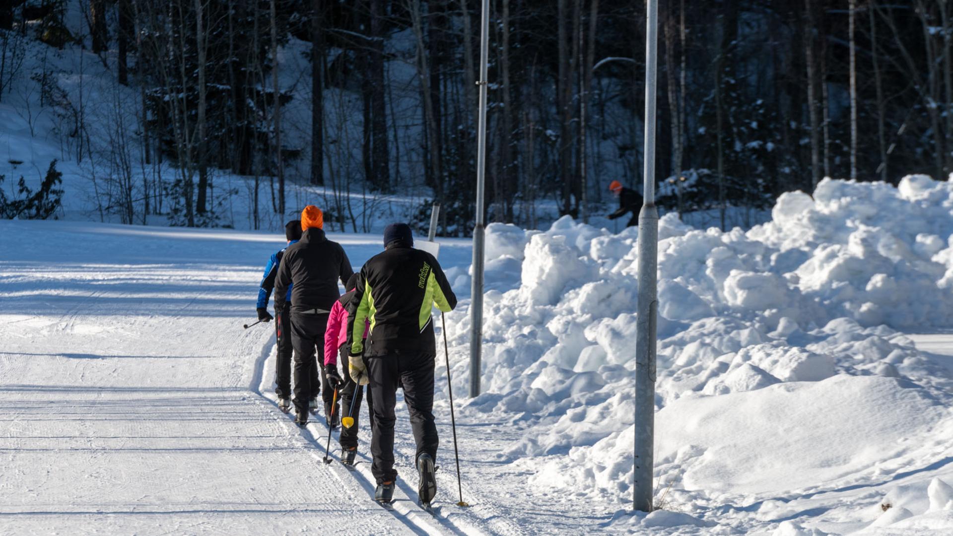 Hiihtäjiä Kerttulan ladulla
