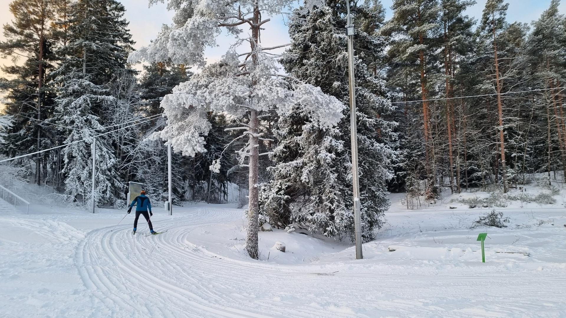 Hiihtäjä Kerttulassa.