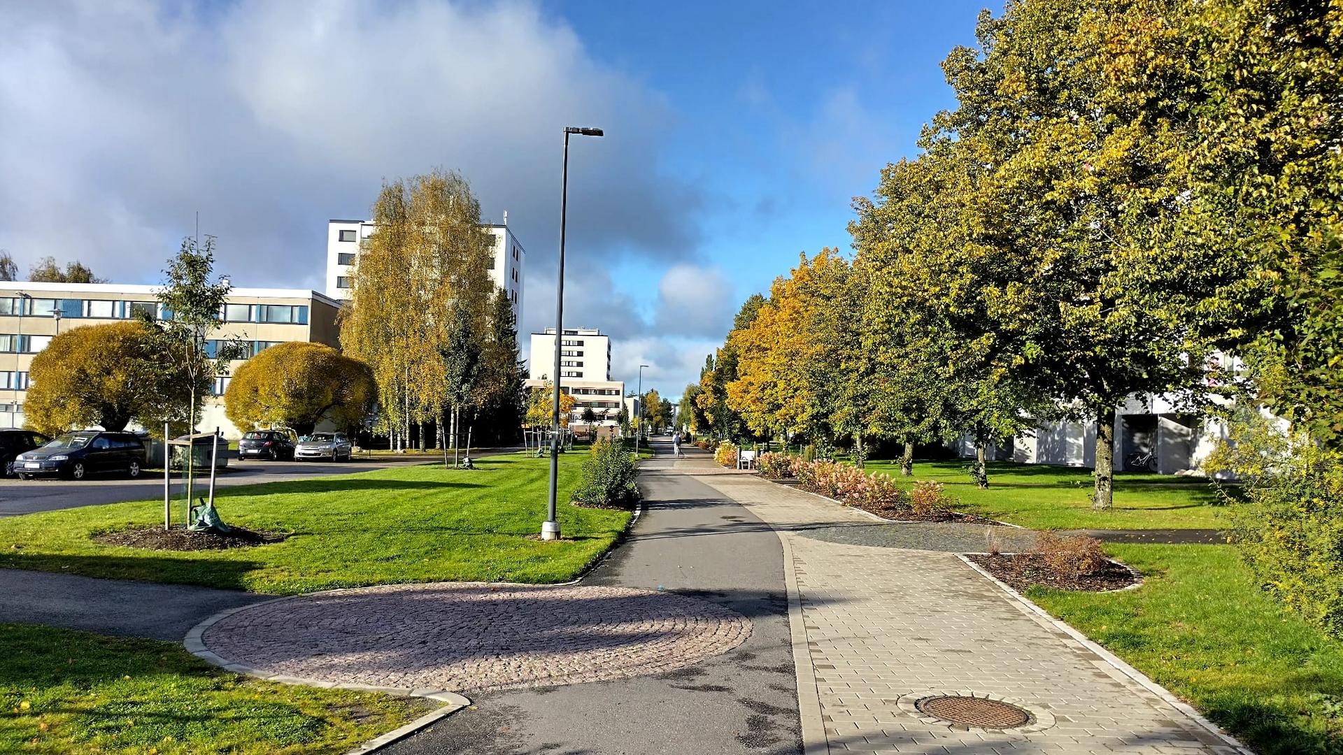 Osin asvaltoitu ja osin kivetty kevyenliikenteenväylä, puustoa taustalla.