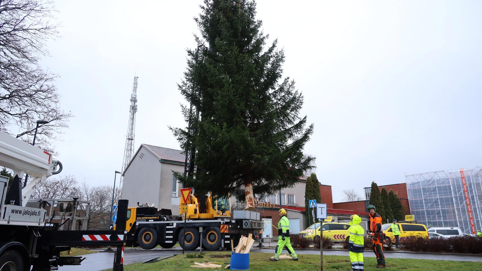 Kaupungintalon joulukuusi 2024.