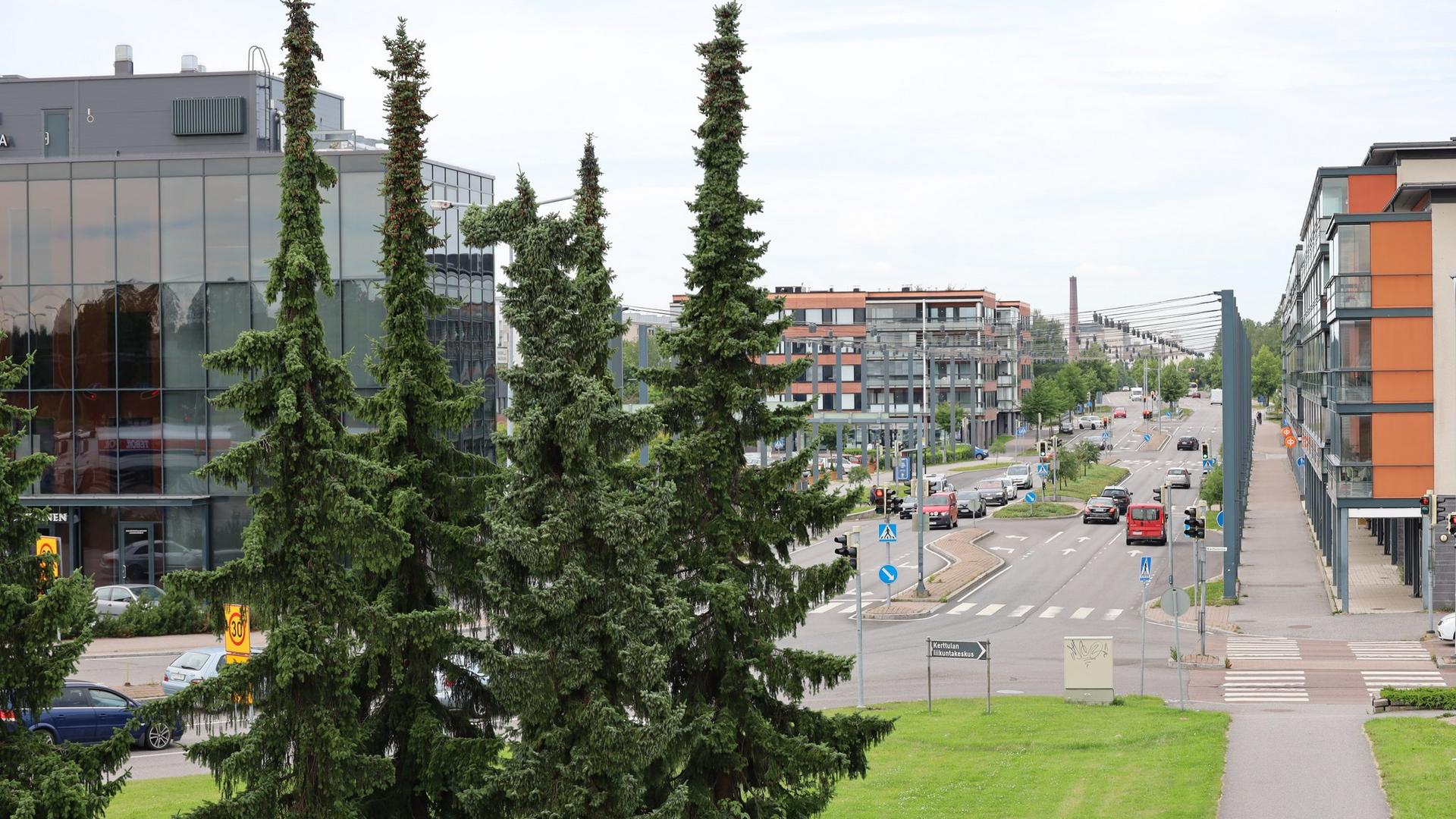 Risteysalue ja sen kuuset.