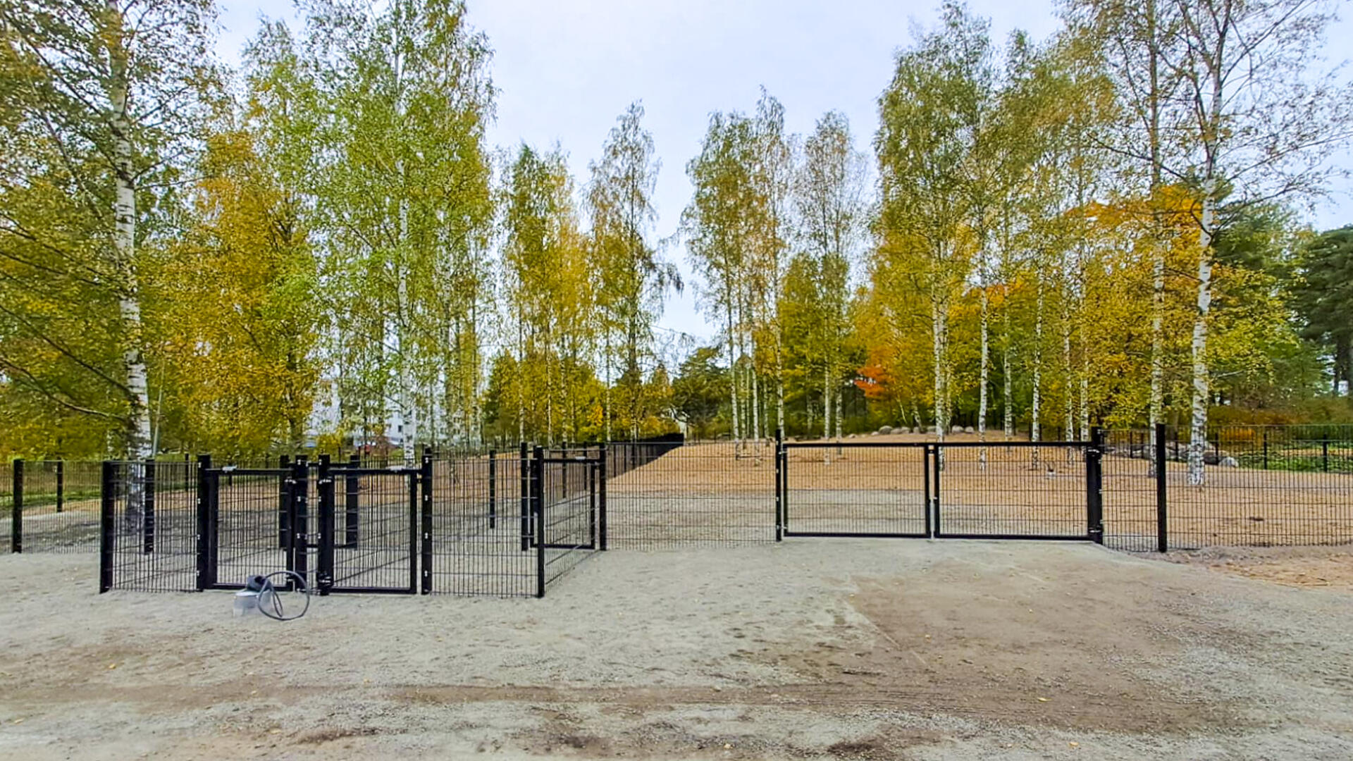 Friisilän koirapuisto