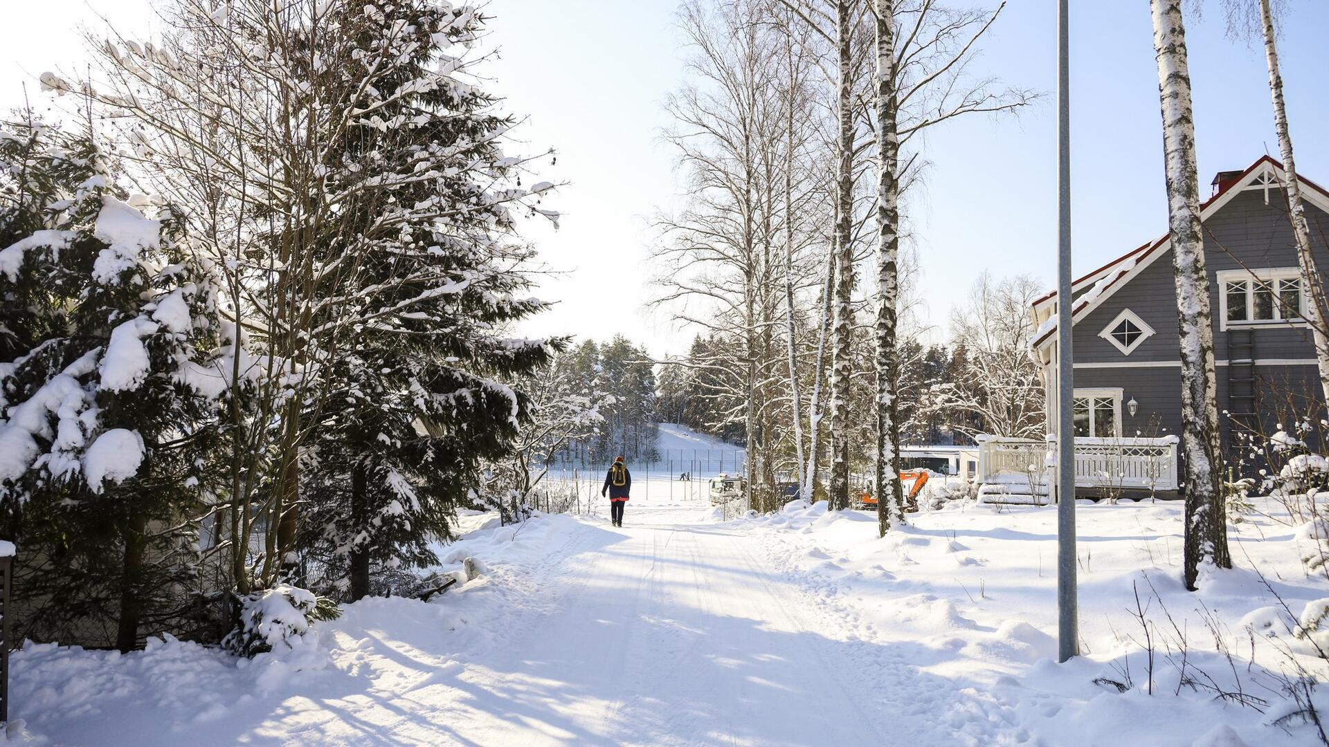 Jalankulkija talvisessa maisemassa
