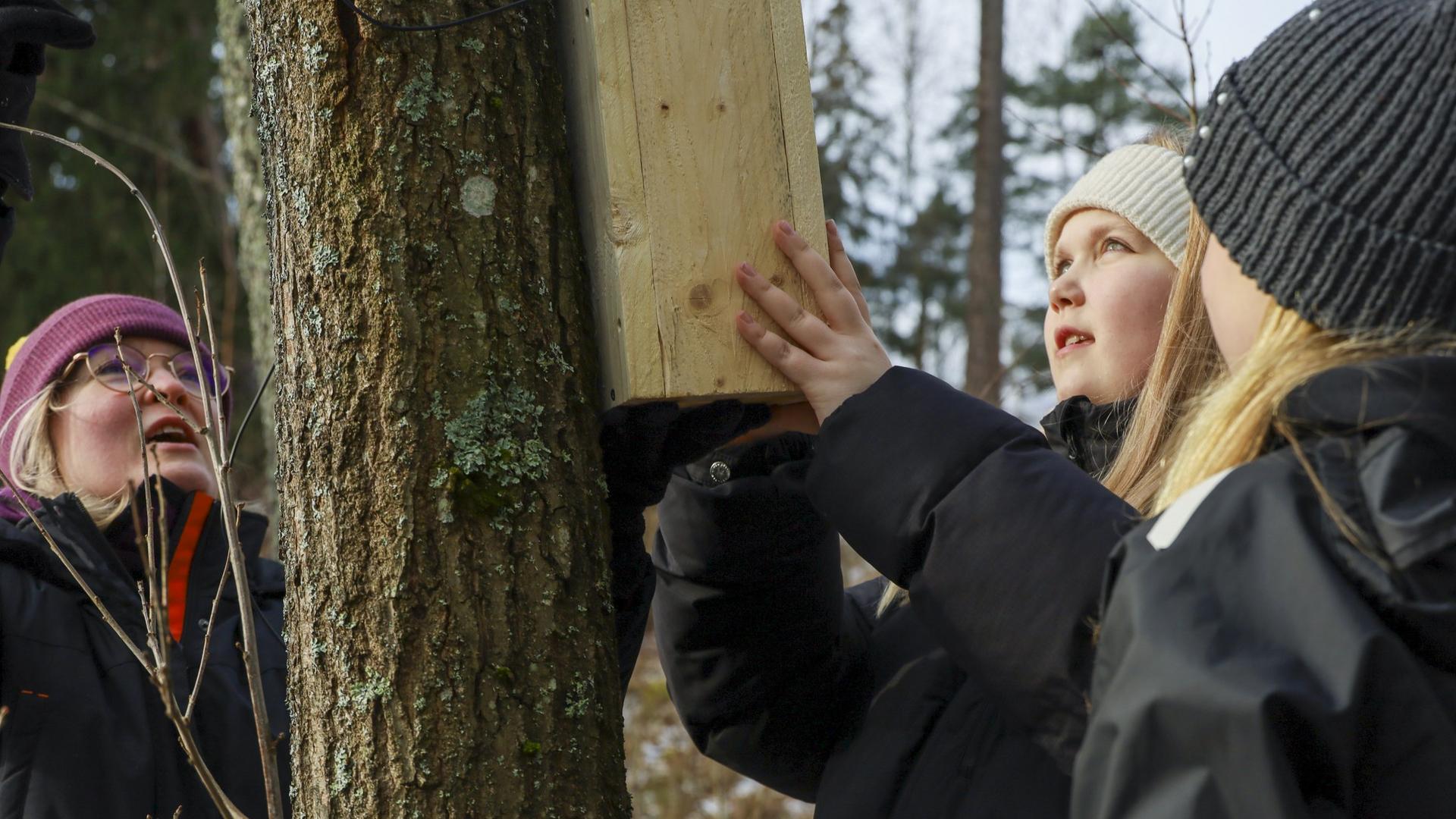 Linnunpönttöjen ripustus Kuloisten koululla. 