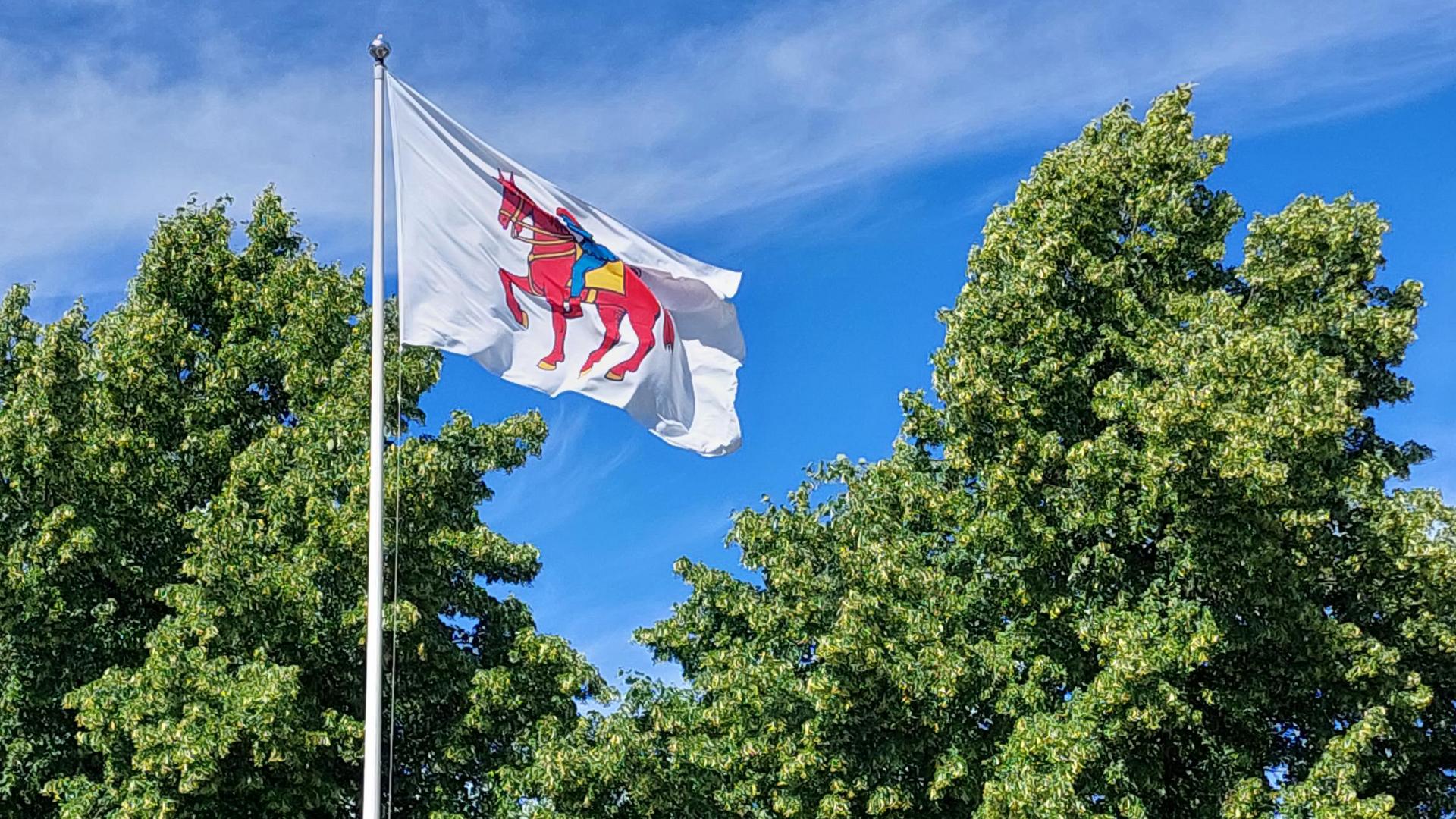 Vaakunalippu kaupungintalon edustalla.