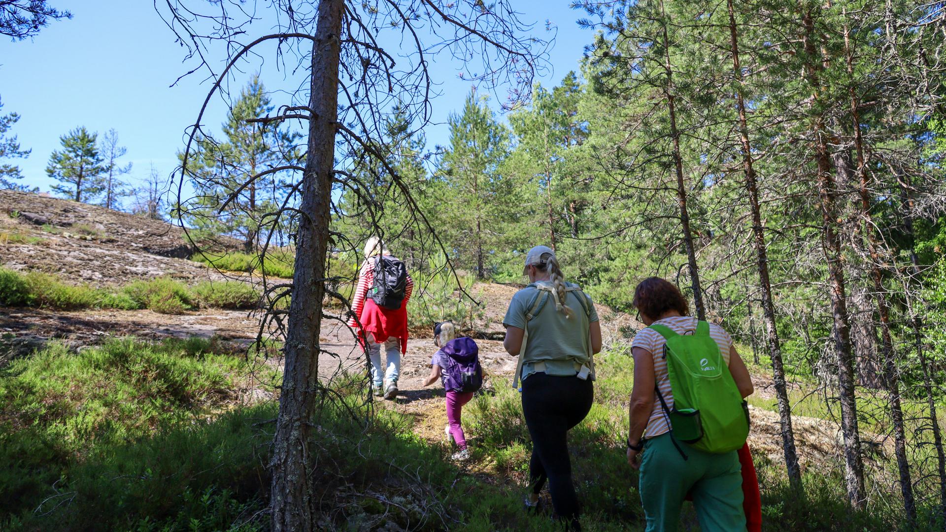 Kolme aikuista ja lapsi kävelevät jonossa metsässä.