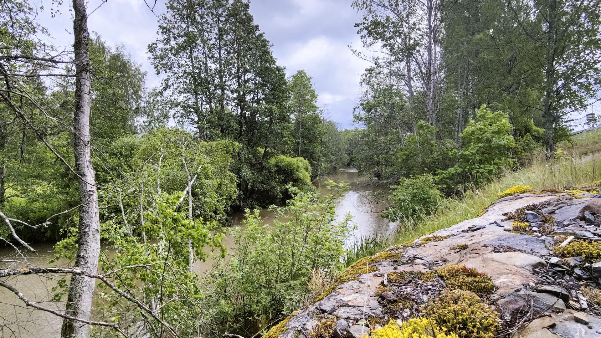 Kesäinen kuva Raisionjoelta.