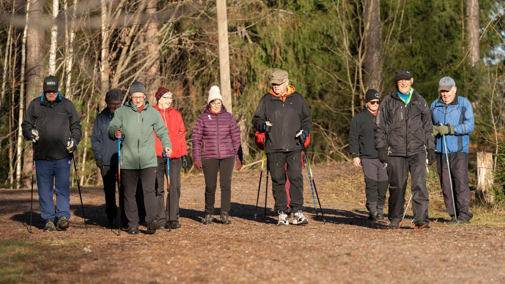 Joukko eläkeläisiä sauvakävelemässä pururadalla.