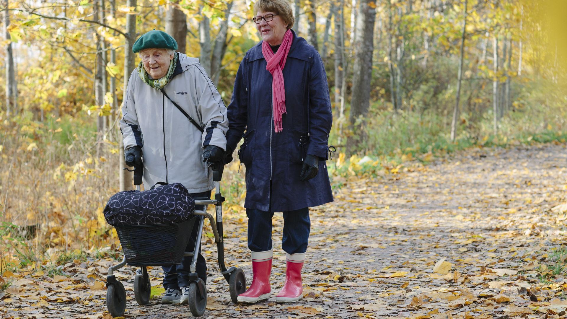 Kaksi ikääntynyttä kävelemässä syksyisessä maisemassa. Toisella kävelijöistä on rollaattori.