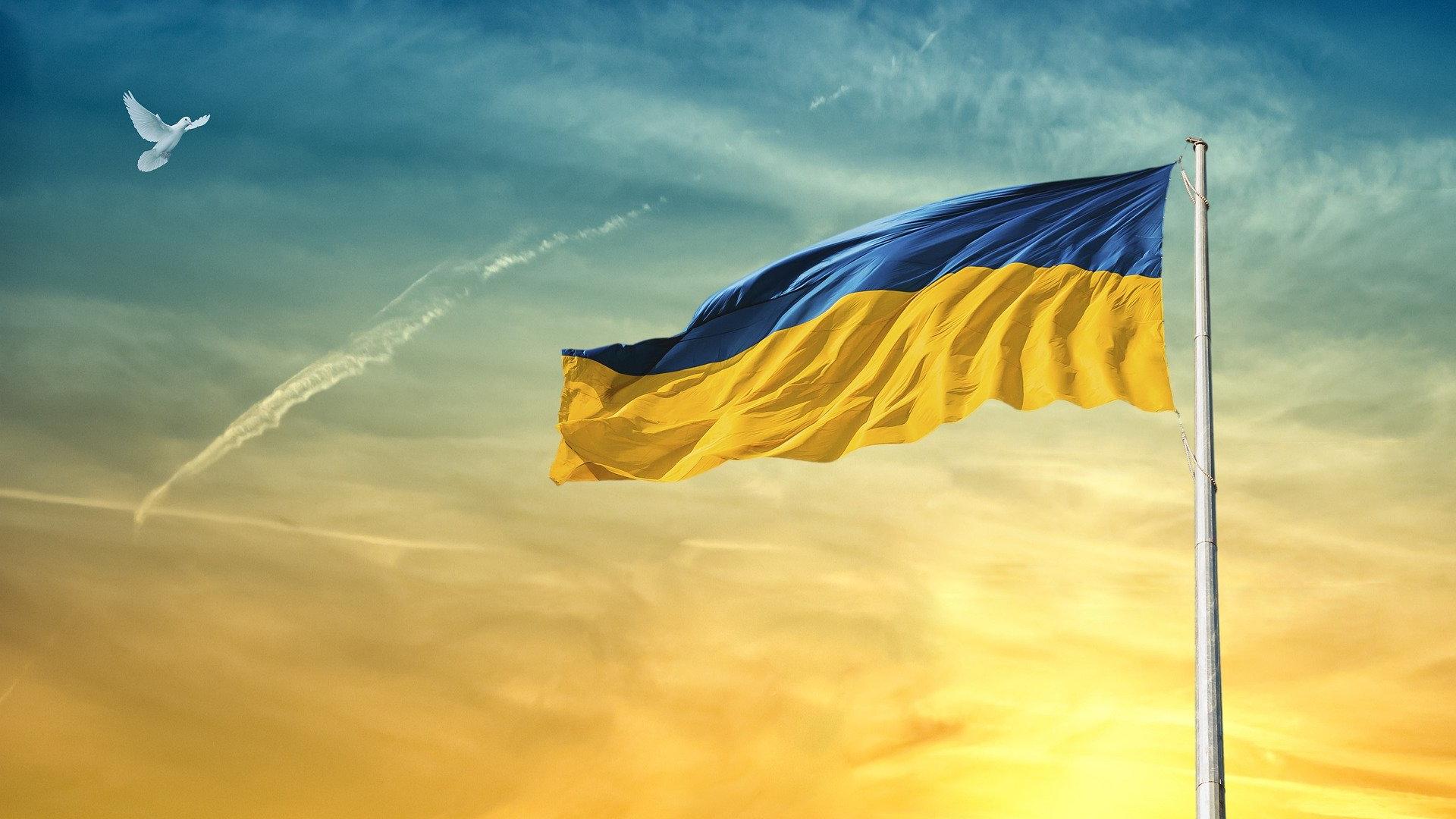 Ukrainan lippu ja lintu.