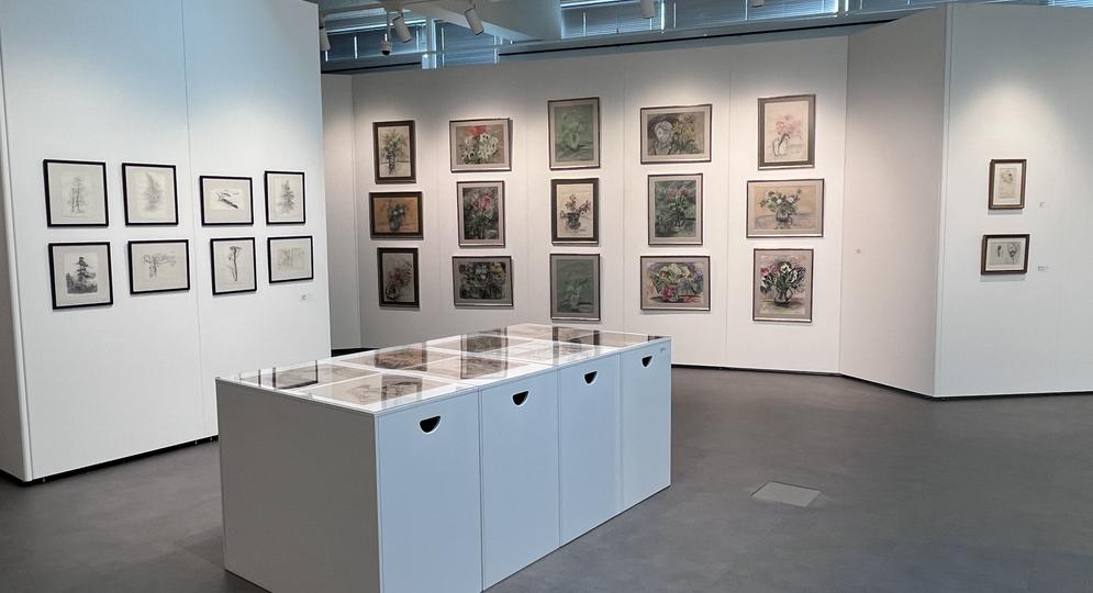 Kuva Viiva luo maailman -piirustustaidenäyttelystä