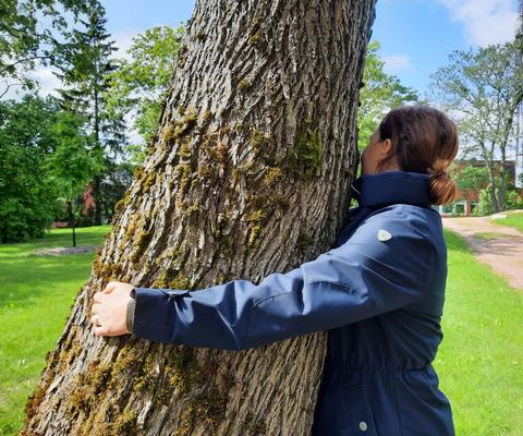 Ihminen halaa puuta