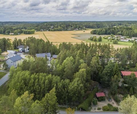 Maisemaa Katteluksenmetsässä