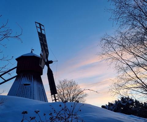 Krookilan kotiseutukeskuksen tuulimylly talviasussa. 