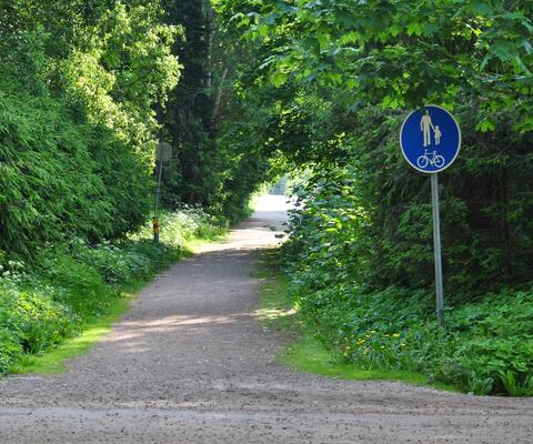 pyörätie metsässä