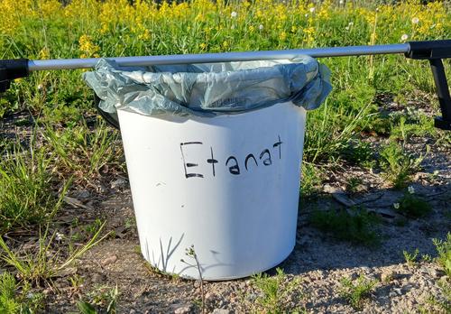 Etanaroskis