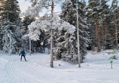 Hiihtäjä Kerttulassa.