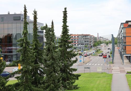 Risteysalue ja sen kuuset.