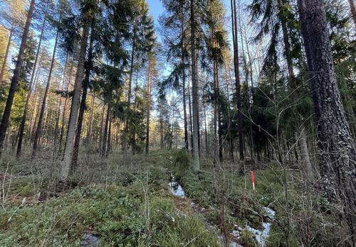 Merkintäkeppi Lehterinvuoren alueella.