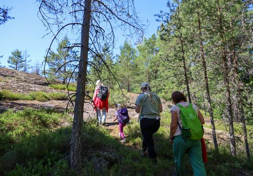 Kolme aikuista ja lapsi kävelevät jonossa metsässä.