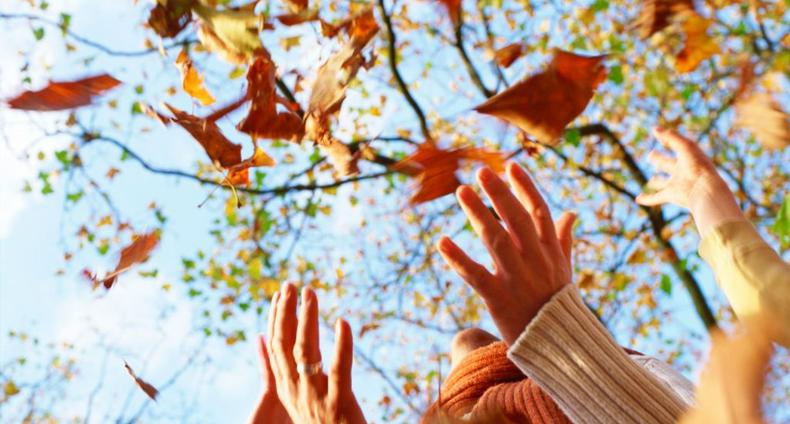 Syksyisiä lehtiä lentää ilmassa.
